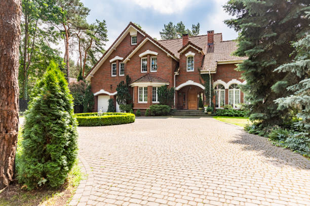 Best Professional Driveway Pavers  in Holly Springs, NC