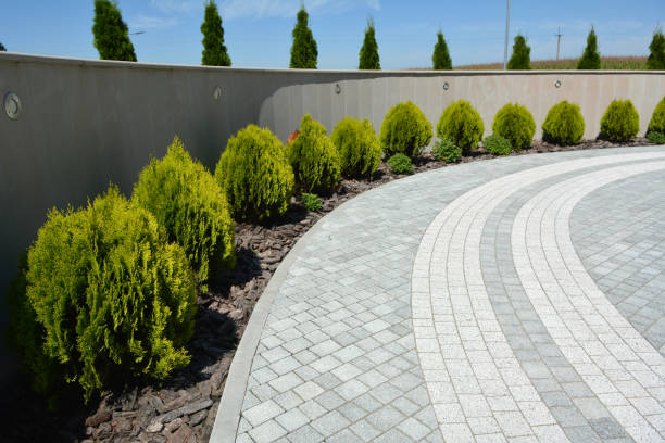 Best Interlocking Driveway Pavers  in Holly Springs, NC